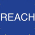 Reach-Deklaration